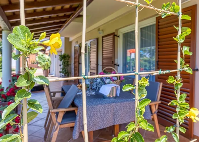 Pensionat Complex Irena With Pool 4*